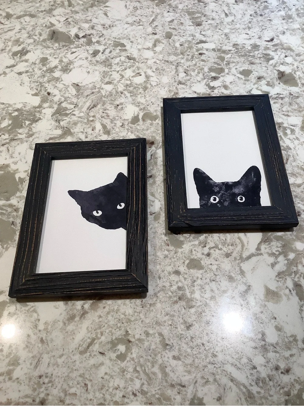 Black Cat Framed Art Pair
